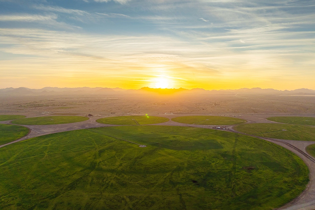 Sharjah wheat farm Mlehia area
