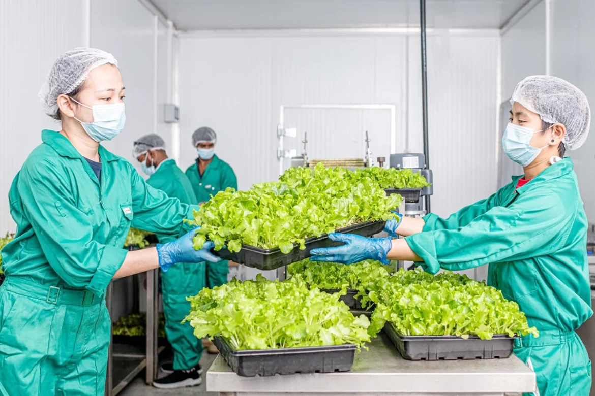 UNS Vertical Farms Dubai UNS Vertical Farms Dubai