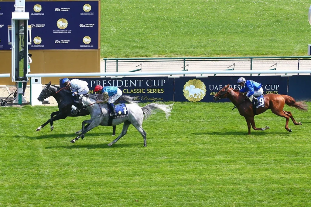 UAE President’s Cup Series for Purebred Arabian Horses