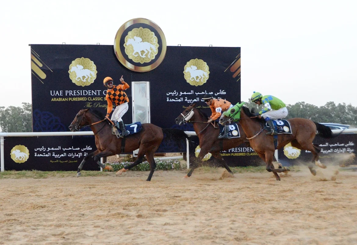 UAE President’s Cup for Purebred Arabian Horses UAE President’s Cup for Purebred Arabian Horses