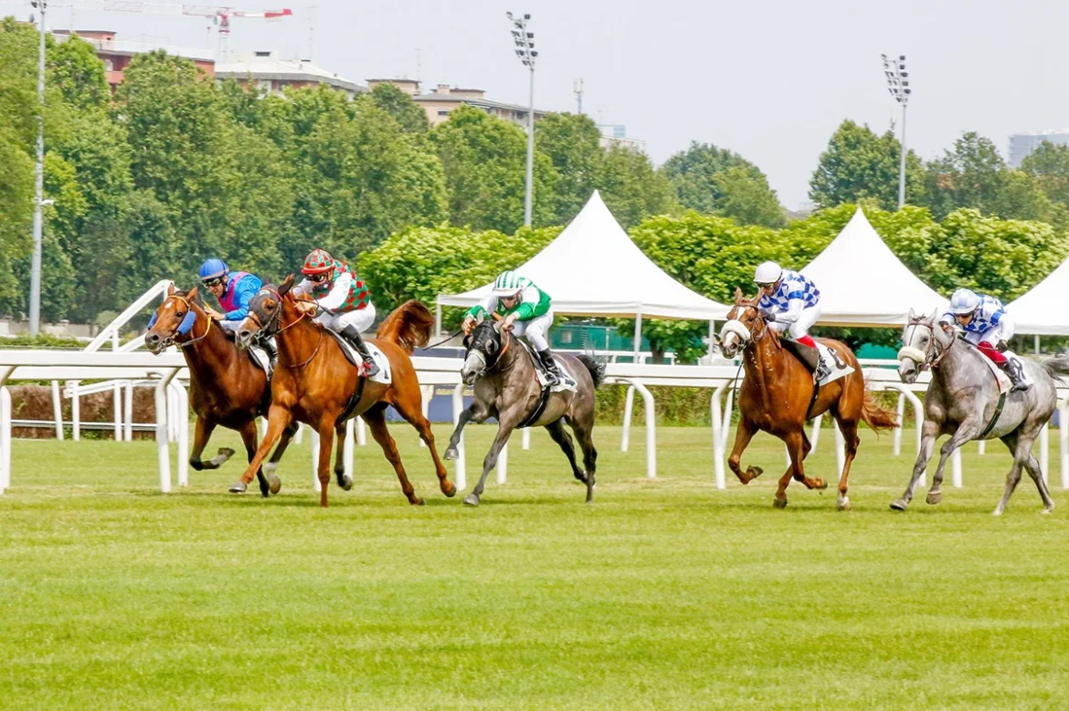 UAE President’s Cup UAE President’s Cup race set for Rome