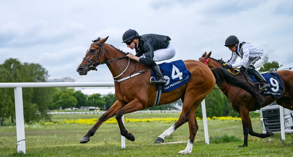 UAE President’s Cup -SWEDEN (2) UAE President’s Cup in Sweden