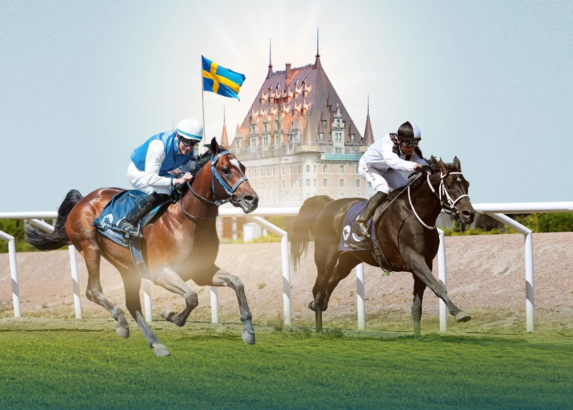 UAE President’s Cup for Arabian Horses