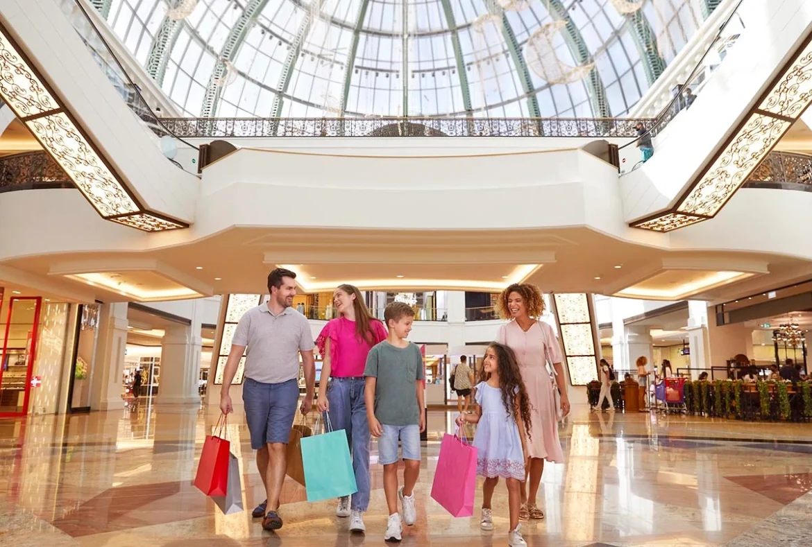 DSS shopping DSS shopping