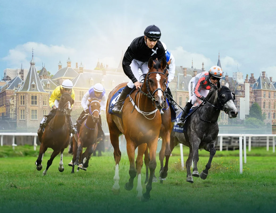 UAE President’s Cup (Netherlands Stage) UAE President’s Cup (Netherlands Stage)