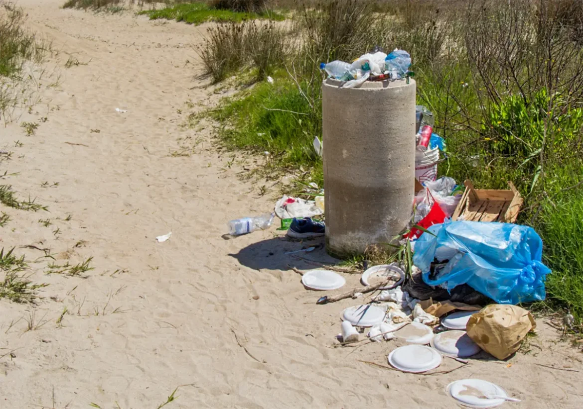 Dubai students learn how to turn waste into fuel