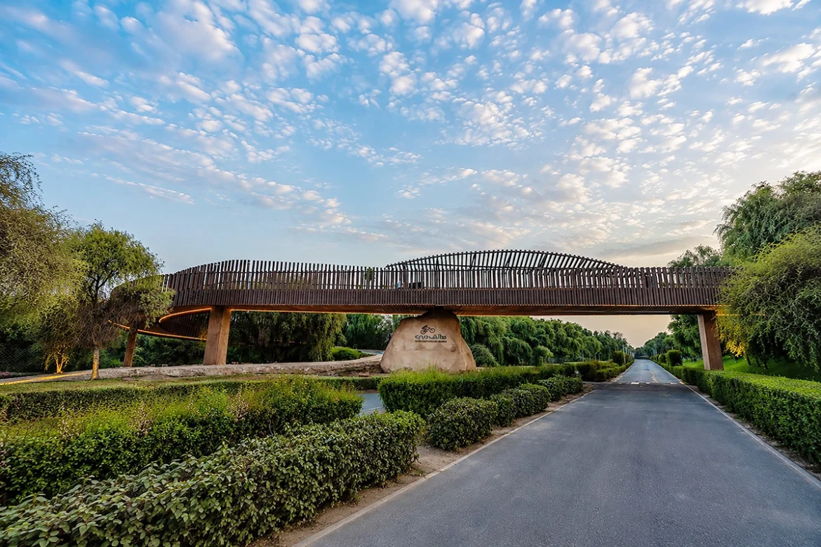 New bridge links mountain bike trails at Mushrif National Park