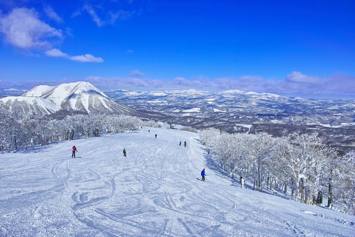 UAE travellers are booking more ski holidays and Arctic escapes